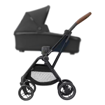 Passegg. Leona 2. E.Graf. 1204750111