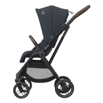 Passegg. Leona 2. E.Graf. 1204750111