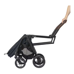 Passegg. Leona 2. E.Graf. 1204750111