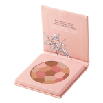 Astra Pure beauty mosaic face powder - 01 Mother Earth