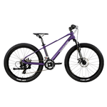 Bici Mtb 24 BRERA Violet/Grey DY2401