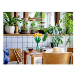 Lego 40747 Narcisi Icons