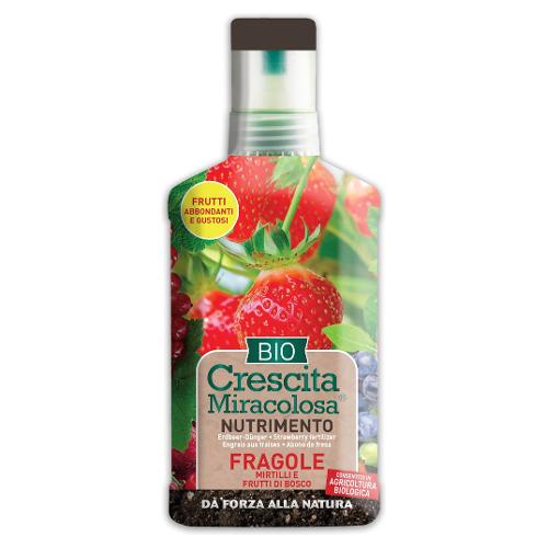 Concime liquido Bio fragole (200ml) C025401