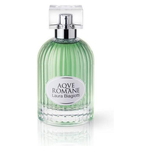 Aqve Romane Divinum Ficus Eau De Toilette 100ml