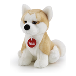 Akita Ascanio S