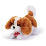 Cavalier King Marley