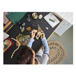 Fossili di dinosauro: teschio di Triceratopo LEGO® Jurassic World