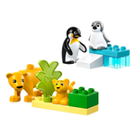Famiglie di animali: pinguini e leoni LEGO® DUPLO®
