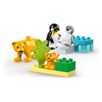 Famiglie di animali: pinguini e leoni LEGO® DUPLO®