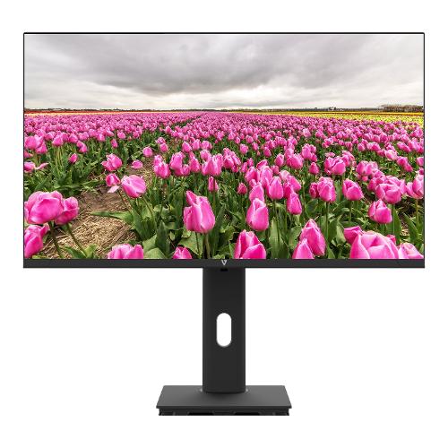 Monitor 23,8" ( IPS Full HD 1080p 100Hz ) Black L238V0 HAS E