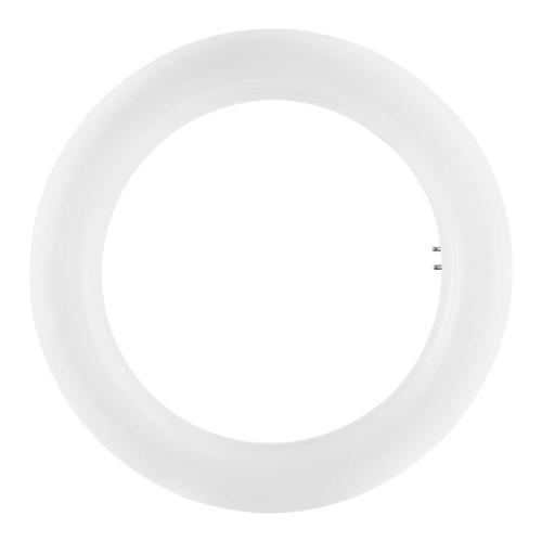 Circolina led G10q (12W) , luce fredda T9 LED