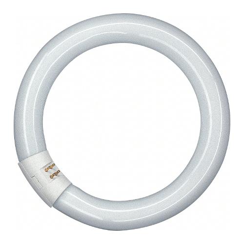 Circolina neon L32 840