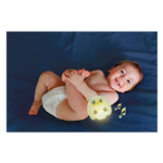 Twinkle Twinkle - Little Sheep