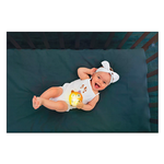 Twinkle Twinkle - Little Fox