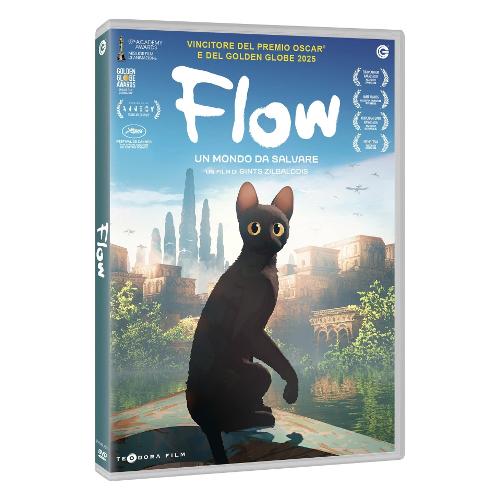 DVD Flow - Gints Zilbalodis 41895
