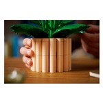 Spatifillo LEGO® Botanicals