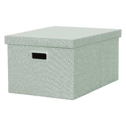 Scatola salvaspazio pieghevole (51x38x30cm) Verde chiaro SNH 005