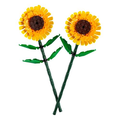 Girasoli ( 191 pz ) BOTANICALS 8a+ 40524
