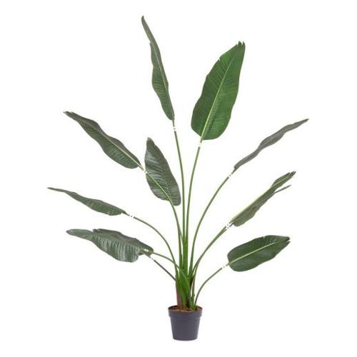 Pianta artificiale Strelitzia con vas 11 foglie (180cm) 0173161