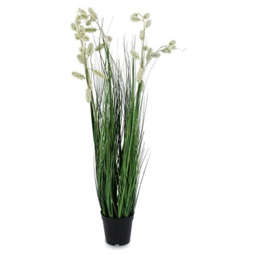 Pianta artificiale Grevillea bianco con vaso (100cm) 0172890