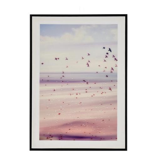 VOYAGE Stampa con cornice (50x70cm) 0245245