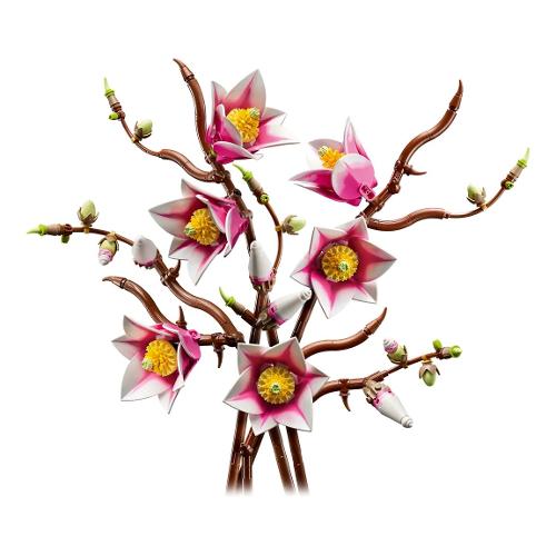 Rametti di magnolia ( 435 pz ) BOTANICALS 18a+ 11510