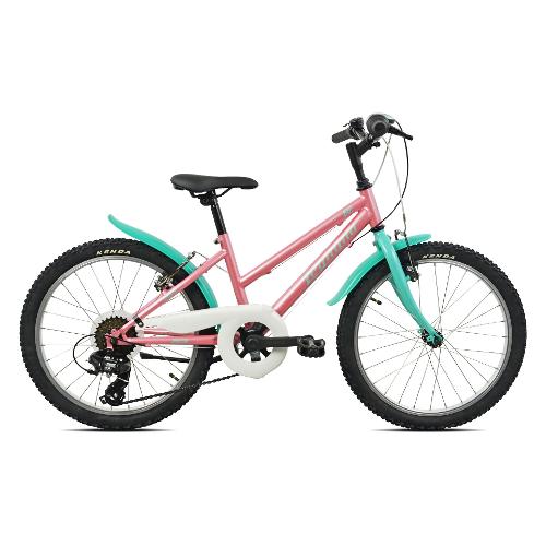 Mountain Bike acciaio ( 6 vel ) 20" Salmone e Verde 26L636