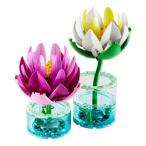 Ninfee in vasetto ( 259 pz ) BOTANICALS 9a+ 11511