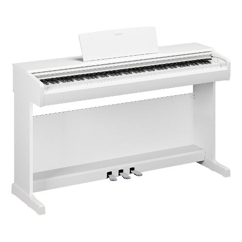 Pianoforte (88 tasti) Polifonia 192 ARIUS Digitale White YDP146WH