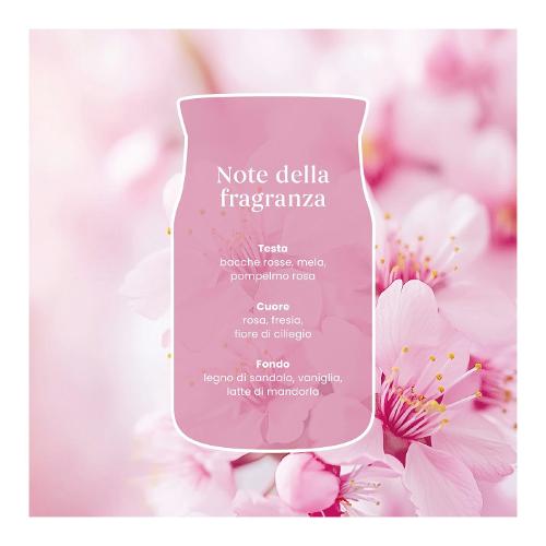 Candela profumata Enchanting Cherry Blossom (6,6x8,4cm) Giara S 20-29 ore SIGNATURE Rosa 2244621