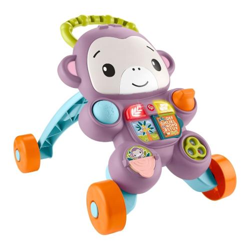 Scimmietta Primipassi (6-18m) JGW91