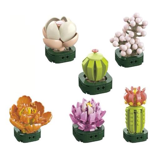 Pianta Grassa CUBIX 7a+ Assortito 42259