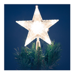 Lotti - Puntale stella 10 led. Bianco. Batterie. 30657