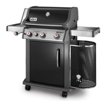 Barbecue BBQ Spirit Premium E-330GBS 46813329 Weber