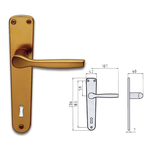 Coppia maniglie per porta con placca P90 400089004 GHIDINI