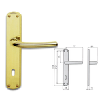 Coppia maniglie per porta con placca P90 744089001 GHIDINI