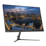 Monitor LED Lenovo L24i-10