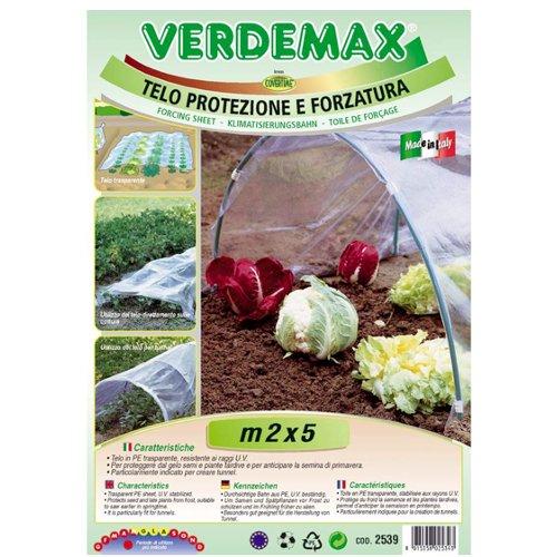 Telo protezione piante 5 mt (200 cm) Trasparente 2539