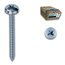 Viti autofilettanti per metallo zincato (50x4,8 mm) 200 pz AUACHC480500B8C