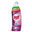 Detergente bagno Disincrostante WC candeggina flacone 700 ml DS9149