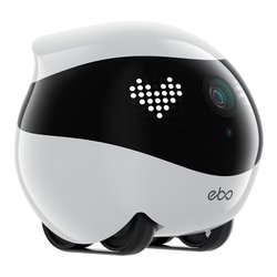 Videosorveglianza animali SMART EBO Air 2 Dove white EA0412