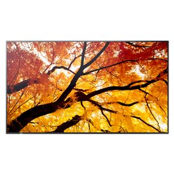 Display professionale 32 1920x1080 FULL HD MULTISYNC M322 Black 60006052