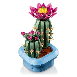 Cactus in fiore ( 482 pz ) BOTANICALS 9a+ 11509
