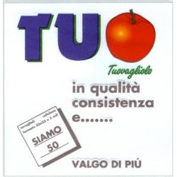 Set tovaglioli monouso 2 Veli 50 pz (33x33cm) Bianco 600600