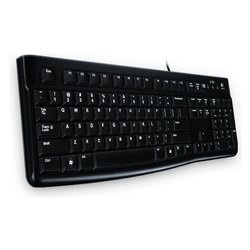 Tastiera computer K SERIES K120 Wired Black 920 002516