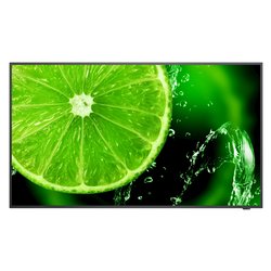 Display professionale 43 3840x2160 UHD 4K MULTISYNC E438 Digital Signage Black 60005045