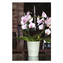 Vaso per orchidee 712 14VR AURORA verde 14 x 14 cm 712 14VR