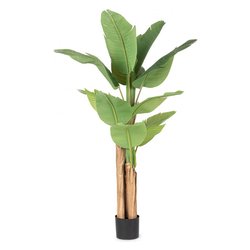 Pianta artificiale Banano c-vaso 13foglie (150cm) 0172975