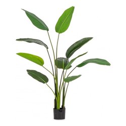 Pianta artificiale Strelitzia c-vaso 10foglie (150cm) 0172961