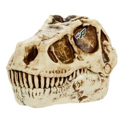 Dinosauro testa Blind slime GROSSMOS Assortito 121053